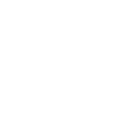 Nextjs icon